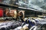 Harga Emas Perhiasan Hari Ini di Toko Gadjah 4 September 2026, Mulai Rp970 Ribu