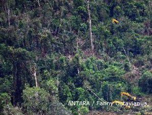 Tujuh grup kuasai pengelolaan hutan