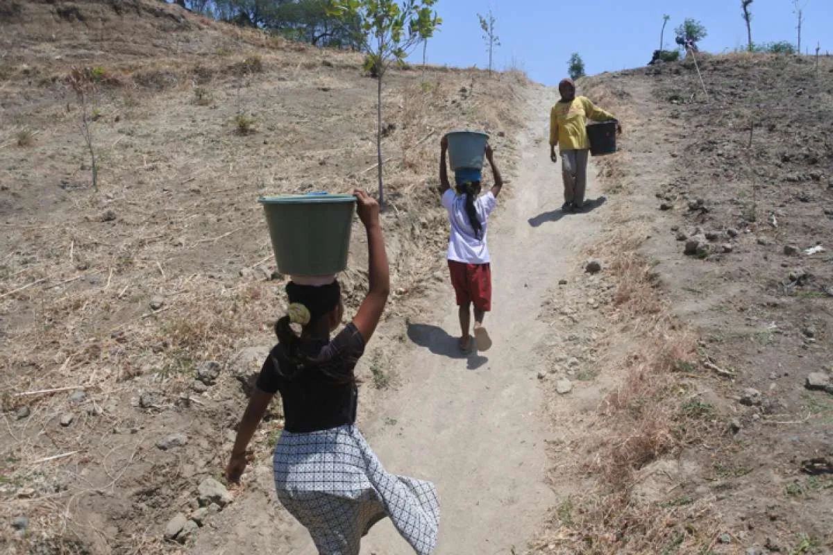 Cuaca Jawa Timur Besok dan Hari ini Panas Terik, Suhu Udara Terpanas Bisa 36°C 