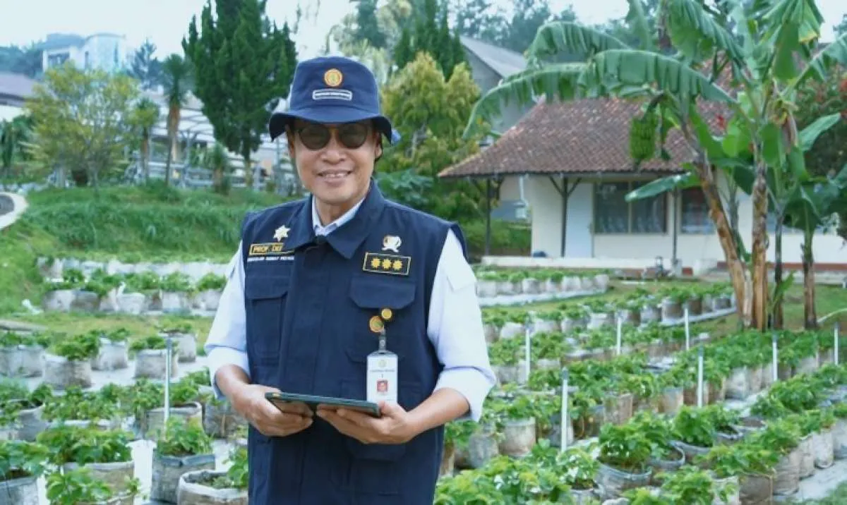 Dampak Positif Pertanian, Pemkab Tanah Laut Apresiasi Dukungan Kementan