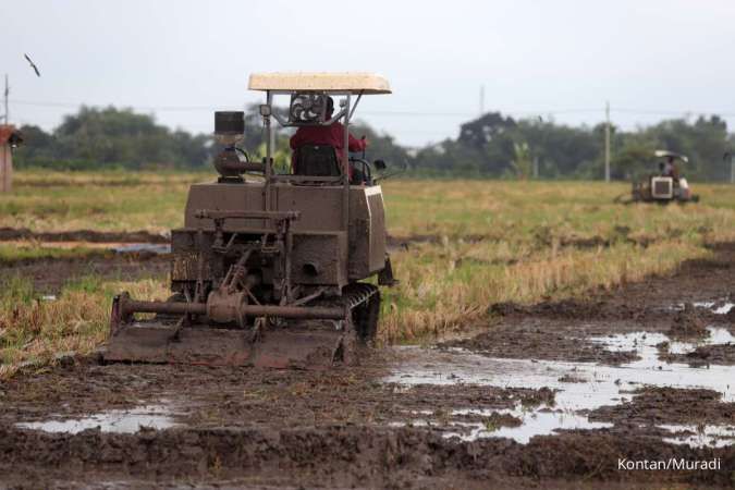 Menilik Dukungan Pembiayaaan Perbankan ke Petani