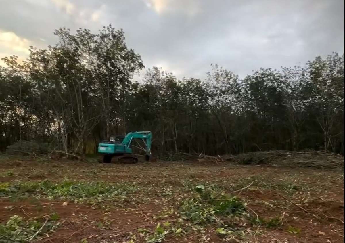 Daftar Sentimen Positif dan Negatif yang Mewarnai Kinerja PTPN IV PalmCo