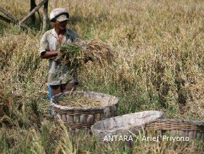 Siap-siap, harga beras merambat naik