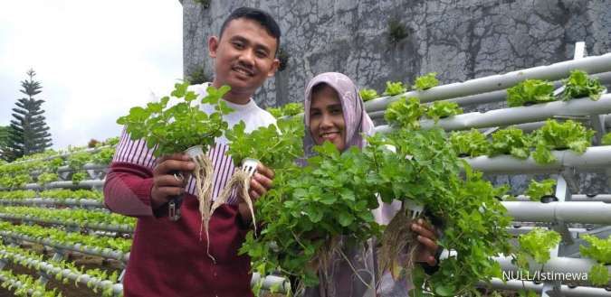 Alumni Politeknik Pembanguan Pertanian Bogor dukung program pertanian Kementan. 