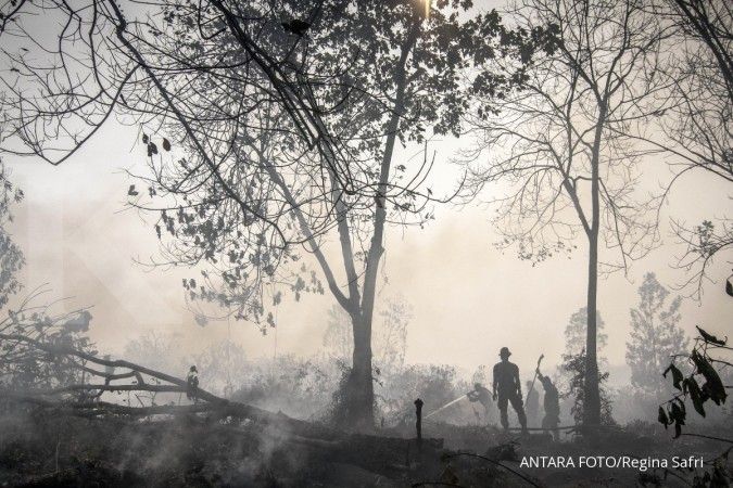 Singapura tak dapat data perusahaan pembakar hutan