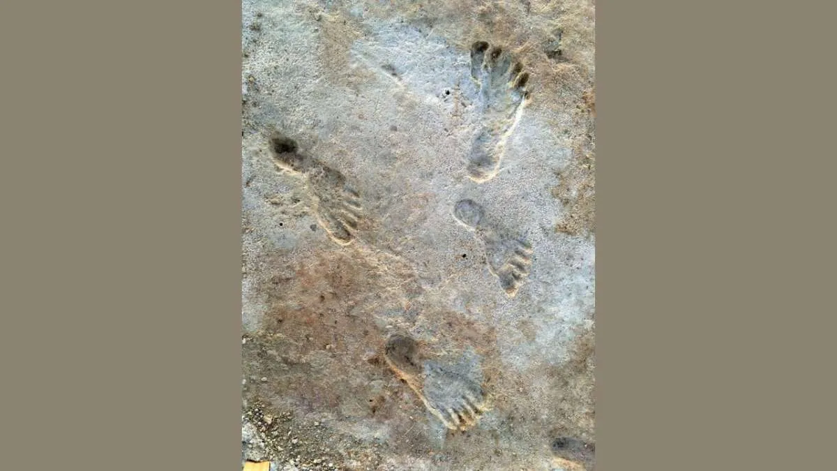 Tes Terbaru Ungkap Homo Sapiens Tiba Lebih Awal di Amerika