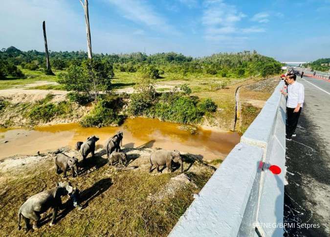 Jokowi Tekankan Pembangunan Infrastruktur Harus Memperhatikan Kelestarian Lingkungan