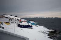 Greenland Capai Kesepakatan Mineral dengan Eropa, Jadi Pukulan Telak bagi Trump!