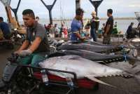 Hadapi Tarif AS, ATLI Sebut Banyak Tantangan di Dalam Negeri