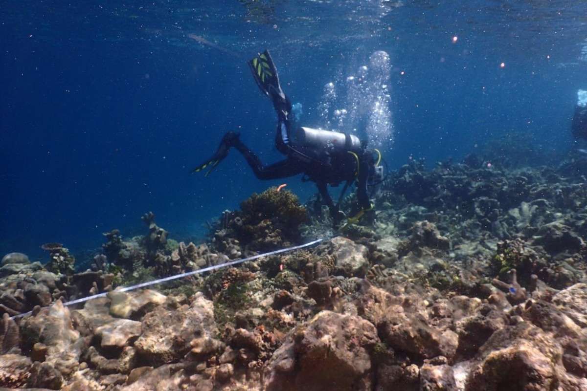 Kawasan Konservasi Laut Bertambah 1,07 Juta Ha