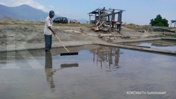 Kejar swasembada garam, proyek irigrasi digeber