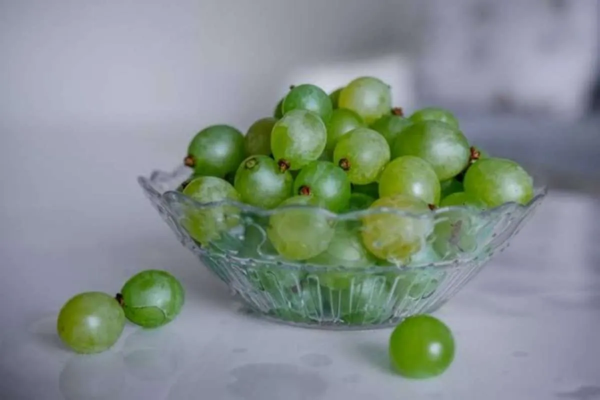 7 Manfaat Anggur Hijau, Merontokkan Kolesterol hingga Menjaga Kesehatan Tulang 
