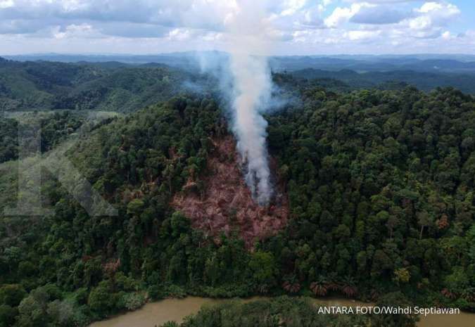 MUI: Haram Hukumnya Deforestasi dan Membakar Hutan