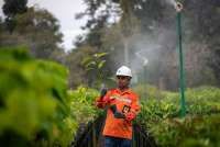 Harga Patokan Ancam Emiten Nikel