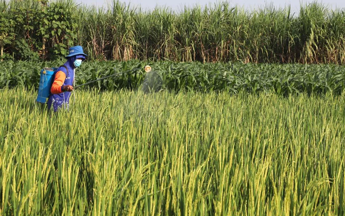 Hari Besar Setiap 24 September: Ada Hari Tani Nasional dan Tragedi Semanggi II