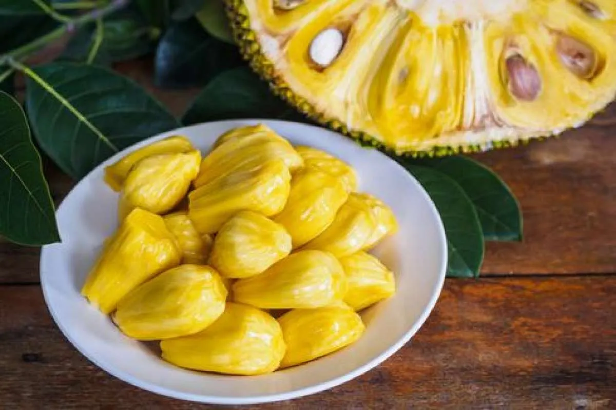 10 Manfaat Nangka Muda Untuk Kesehatan yang Jarang Diketahui