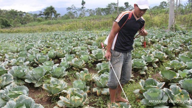 PT Agricon bangun pabrik pestisida