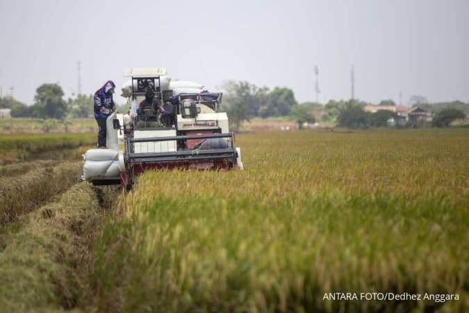BPS: Nilai Tukar Petani Agustus 2025 Naik, Harga Beras Premium Tembus Rp13.838 per Kg