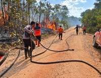 Kebakaran Hutan dan Lahan Belum Jadi Bencana Nasional, BNPB Ungkap Alasannya