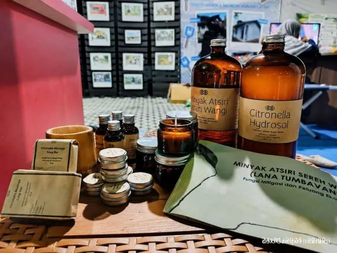 Lana Tumbavani Produk Minyak Sereh Wangi Merambah Pasar Amerika Serikat