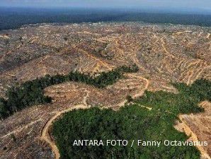 DPR khawatir hutan dirambah, Kemenhut mengaku tak bisa kontrol