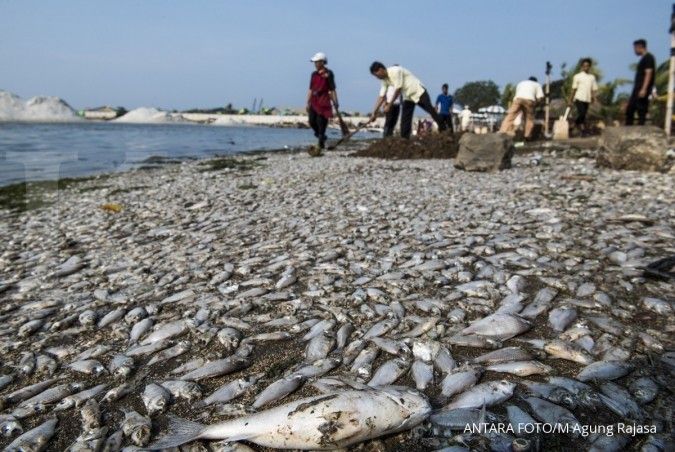 Duh, ikan yang mati di Danau Maninjau capai 20 ton