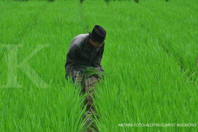 Bayer Indonesia luncurkan produk herbisida pintar