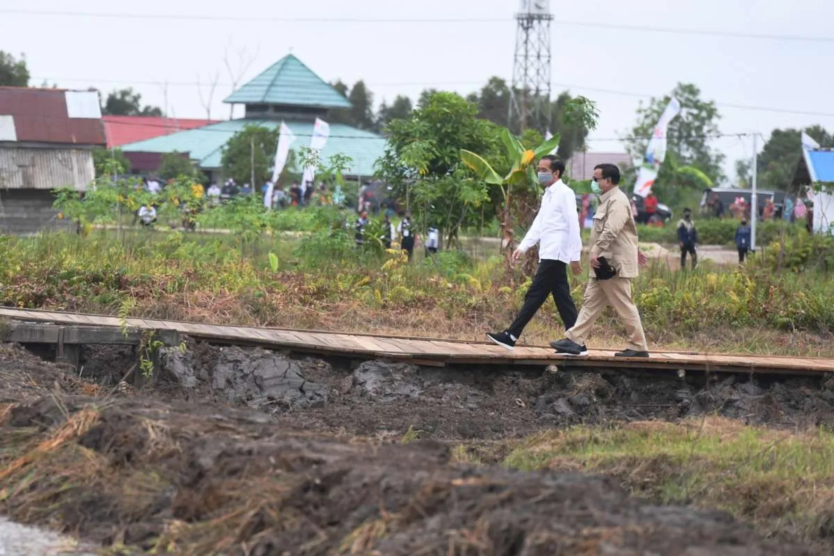 Jokowi tunjuk Prabowo urus lumbung pangan di Kalteng seluas 30.000 ha, ini alasannya?