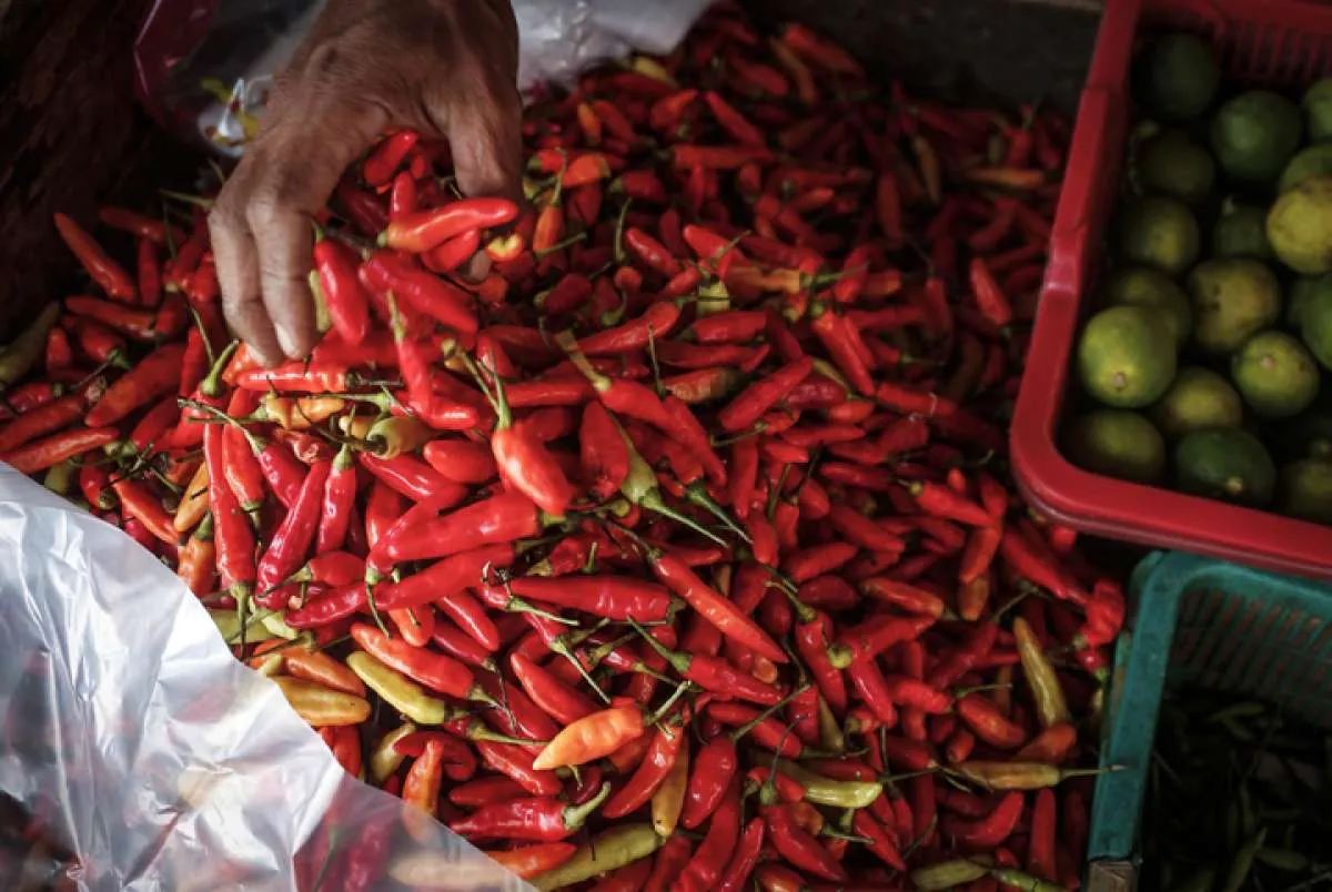 Harga Pangan di Yogya Rabu (18/12): Cabai Rawit Merah dan Bawang Putih Bonggol Naik