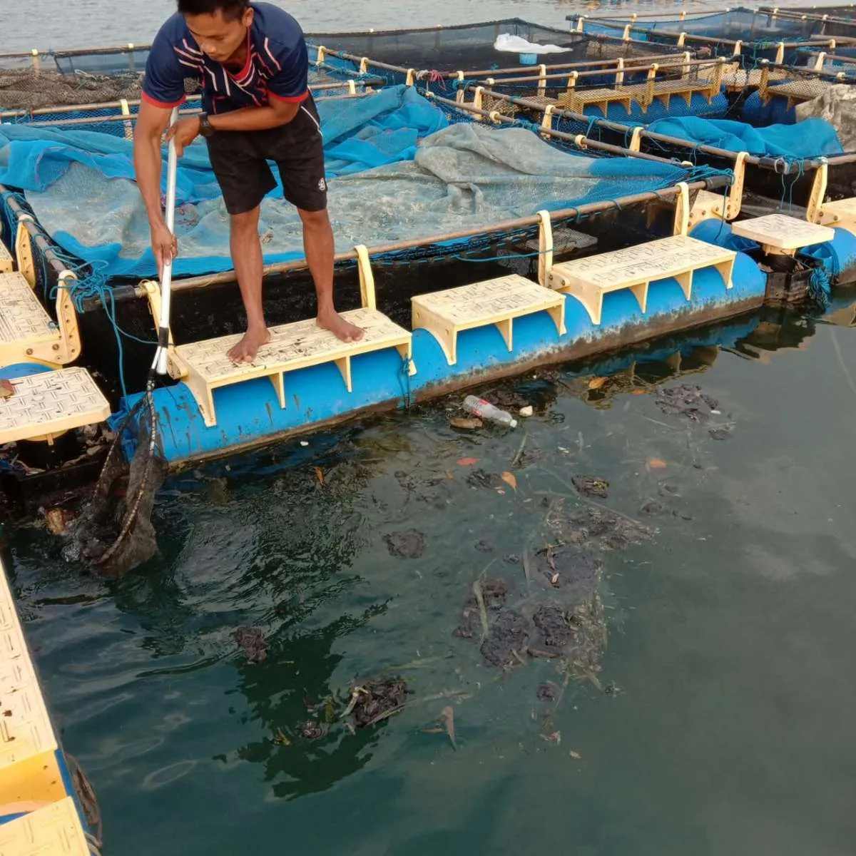 Nelayan Kepulauan Seribu terkena dampak tumpahan minyak mentah Pertamina