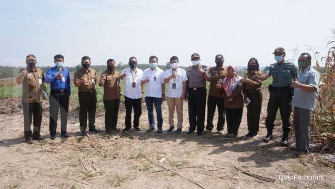 Sinergi BUMN, Perhutani Kembangkan Industri Non Kayu