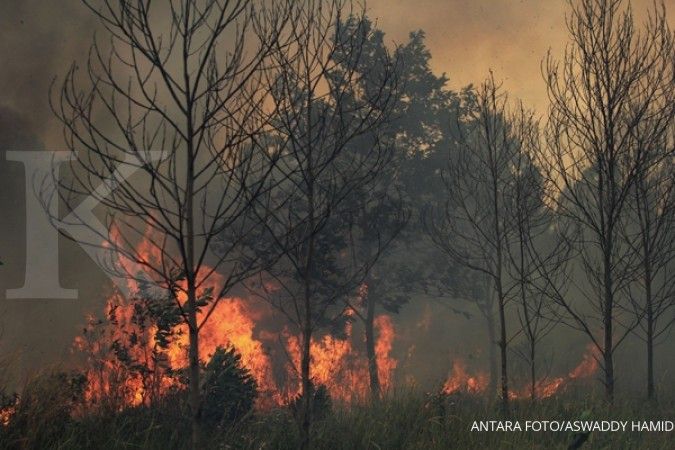 Hotspot turun, pembakaran hutan masih merajalela