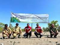Program Hutan Petrofin: Komitmen Elnusa Petrofin Dukung Net Zero Emission (NZE) 2060