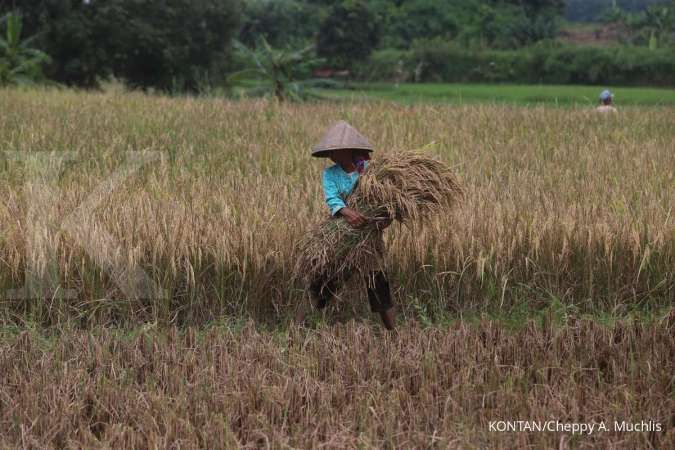 Indonesia Hadapi Tantangan Regenerasi Petani