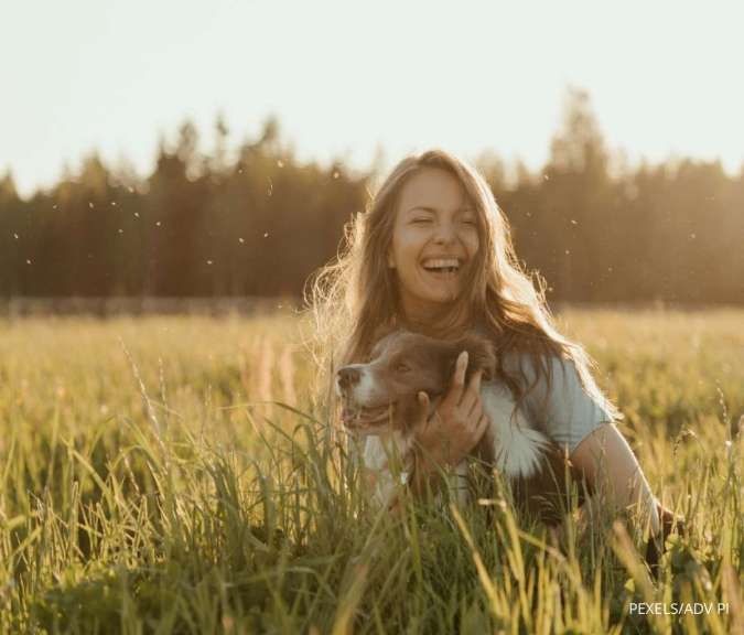 Buat Anjing Sehat dan Bahagia, Tanpa Perlu Khawatir Terkena Kutu Anjing