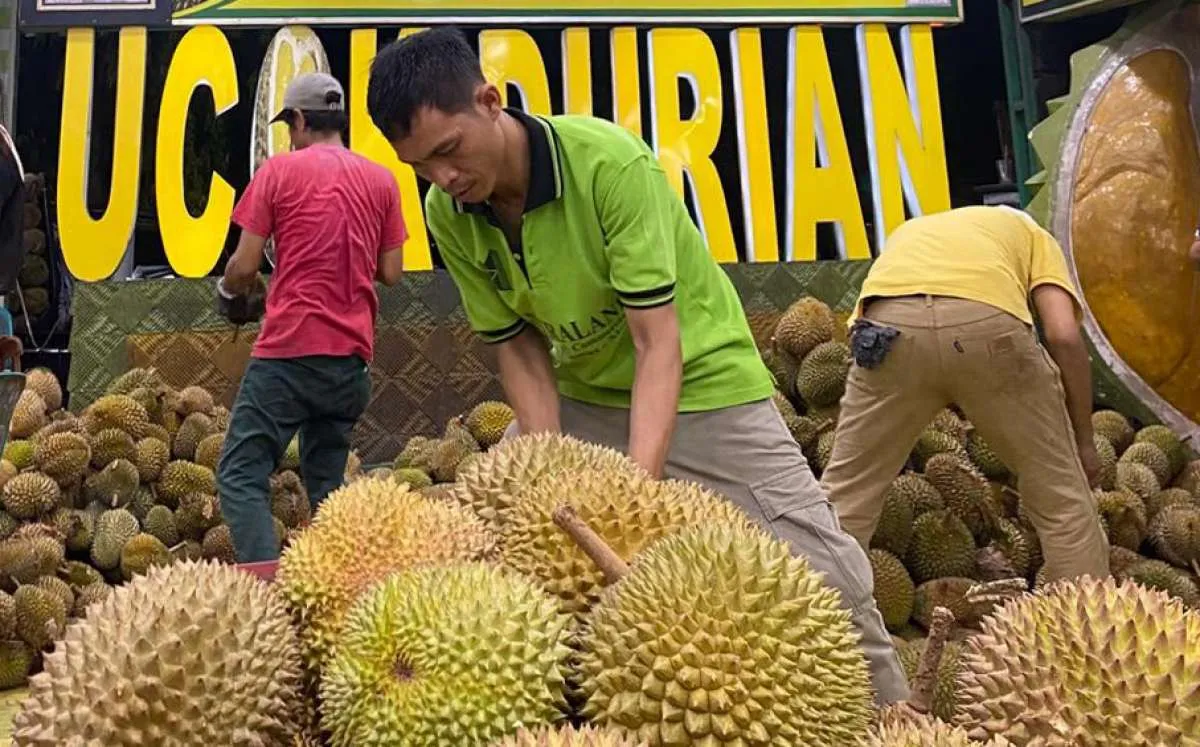 Ini 5 Tips Memilih Buah Durian Matang dengan Daging Segar dan Berkualitas