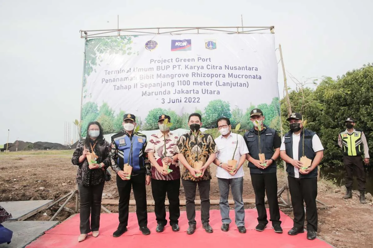 Kemenkomarves Apresiasi Penanaman Mangrove KCN