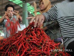 Harga wajar cabai berkisar Rp 20.000-Rp 30.000 per kilogram