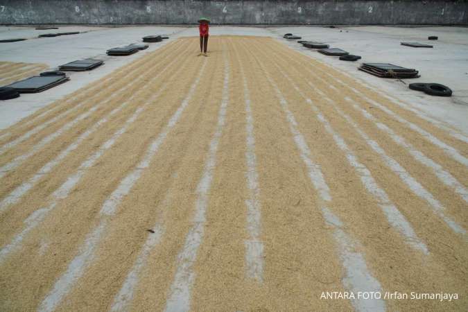 Harga Gabah dan Ikan Naik, Nilai Tukar Petani dan Nelayan Meningkat di Agustus 2025