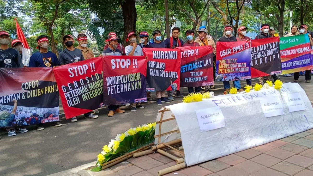 Lima Tahun Rugi, Peternak Ayam Rakyat dan Mandiri Demo di Komnas HAM
