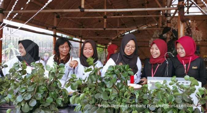 Seru, tempat wisata Kebun Begonia Lembang penuh hamparan bunga warna-warni