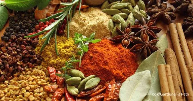 herbs dan spices (rempah-rempah)