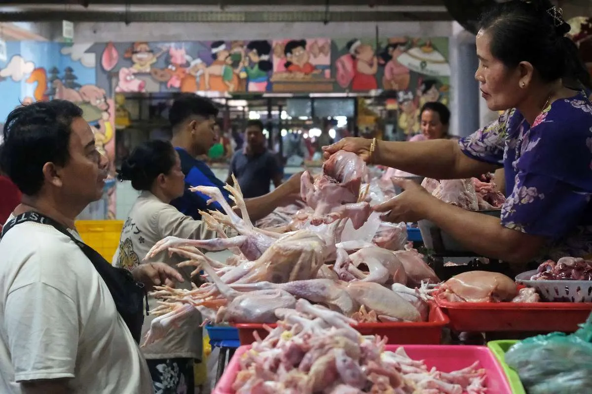 Harga Ikan Bandeng dan Daging Ayam Ras Naik di Sulawesi Tenggara, Selasa (17/12)