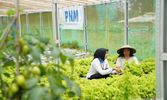 Indonesia Sustainability Award Apresiasi Komitmen ESG dan Pemberdayaan PNM