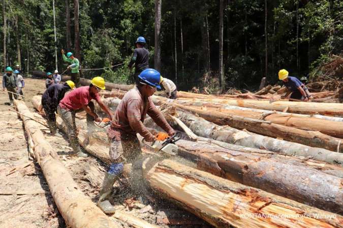 HTI untuk Biomassa, Mendukung Energi Terbarukan dan Hutan Lestari
