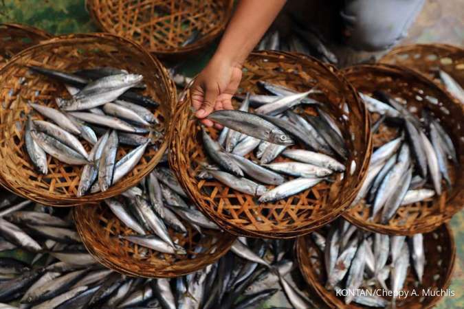 Juara Desa BRILiaN, Desa Padang Panjang Genjot Potensi Karet hingga Budi Daya Ikan