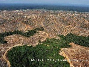 Pemulihan hutan kalah cepat dengan perusakan hutan