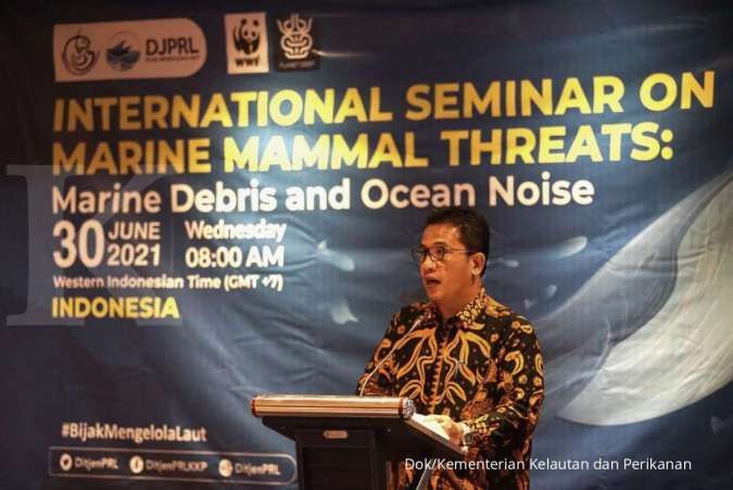Gandeng Pakar Internasional, KKP Urai Ancaman Sampah Laut dan Kebisingan bagi Mamalia Laut