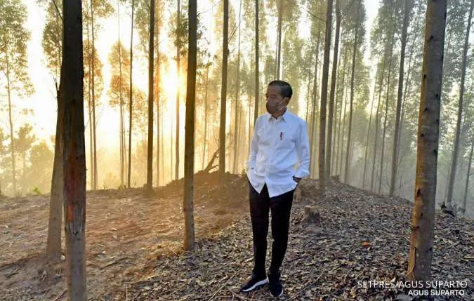 Indonesian President Says New Capital Construction Now Underway