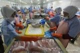 Ditopang Ekspor, Laba Dharma Samudera Fishing (DSFI) Tumbuh 20% di Kuartal I 2025